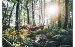 Amazonas Hängematte Moskito-Traveller Thermo 12 Amazonas Hängematte Moskito-Traveller Thermo -Campingmöbel Geschäft 505133 3457879